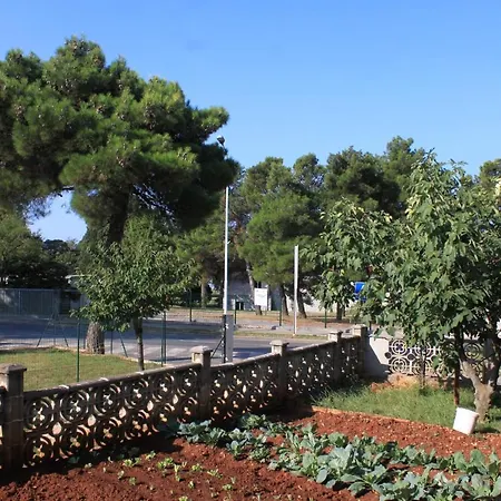 With A Parking Space - 7066 Umag